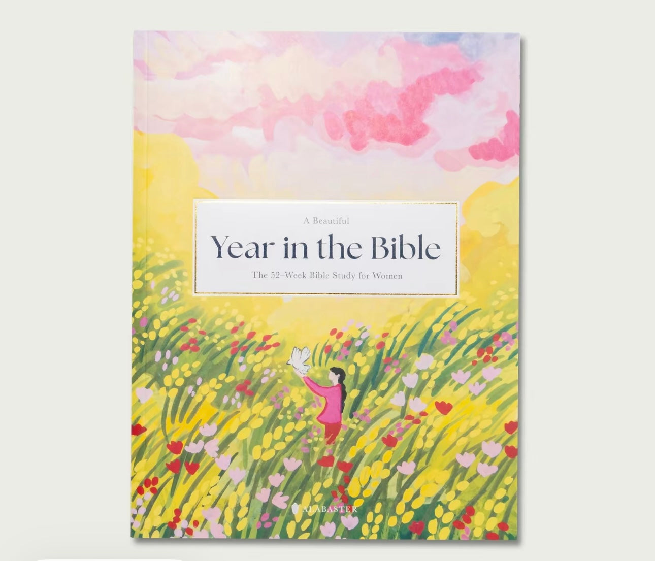 A Beautiful Year in the Bible: The 52-Week Bible Study for Women