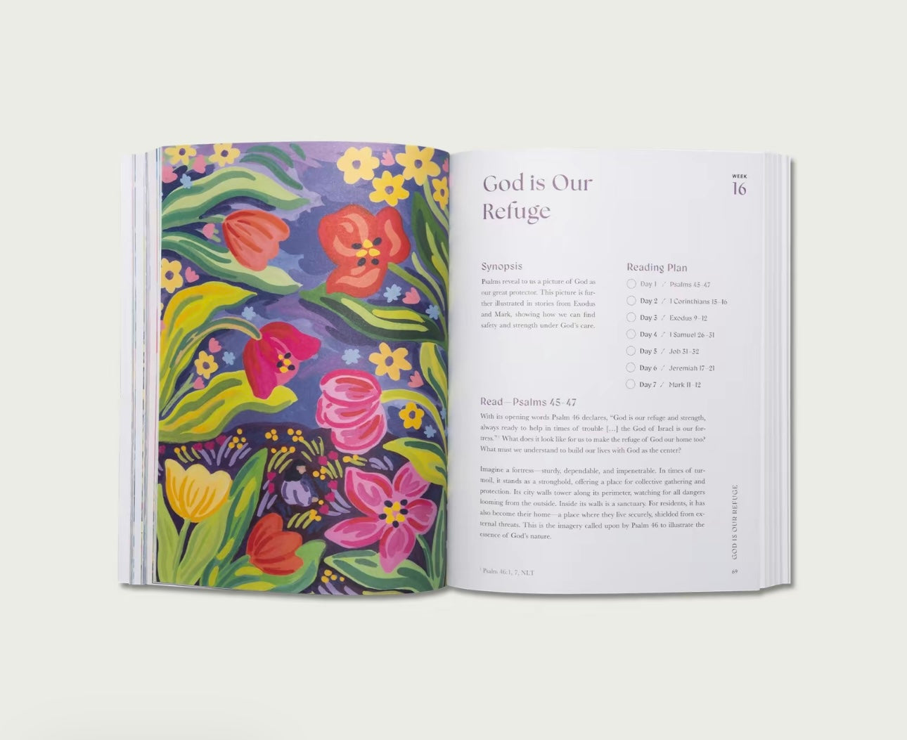 A Beautiful Year in the Bible: The 52-Week Bible Study for Women