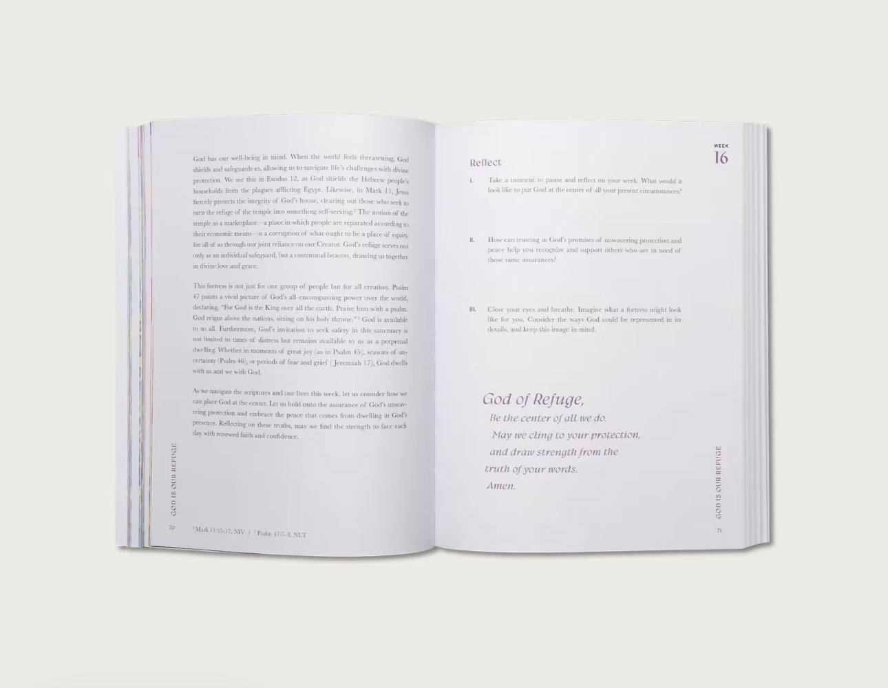 A Beautiful Year in the Bible: The 52-Week Bible Study for Women